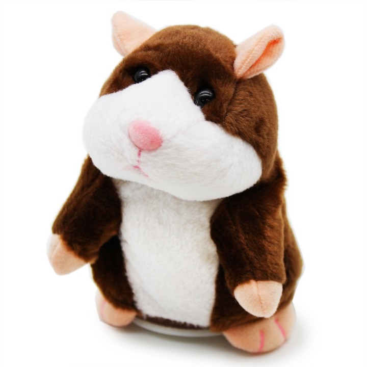 Hamster Talking