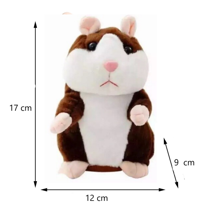 Hamster Talking