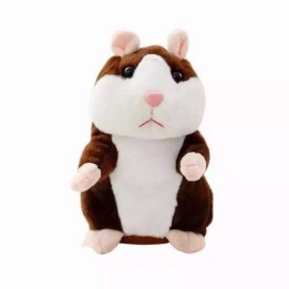 Hamster Talking