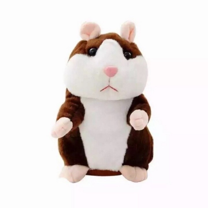 Hamster Talking
