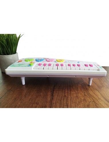 Piano Organeta Musical Dayoshop 59,900.00
