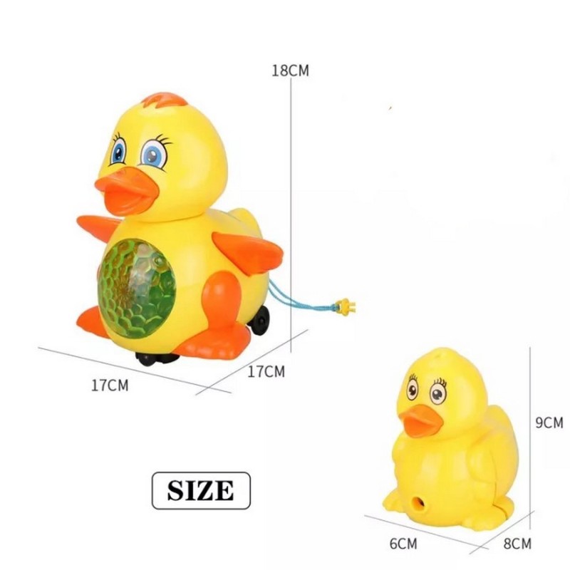 Pato Didactico