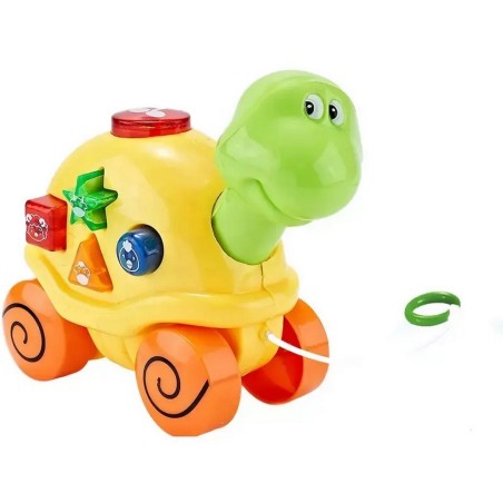 Tortuga Aprendijaze