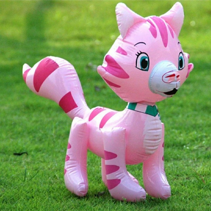 Gata Inflable