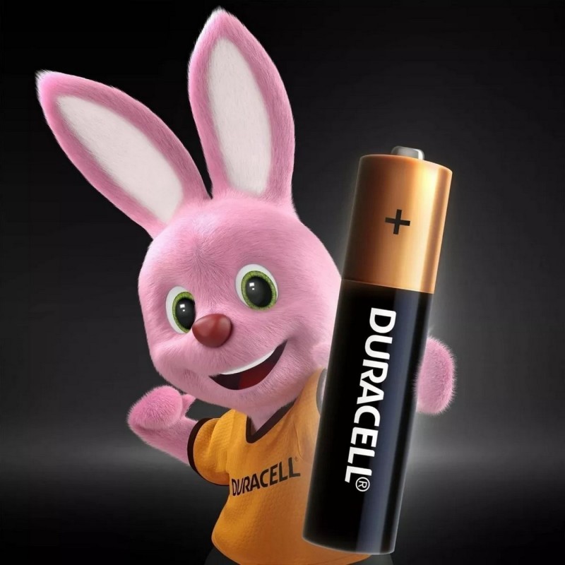 Bateria Duracell x6