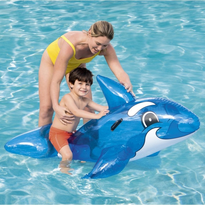 Inflable 41037