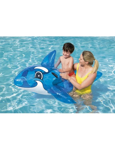 Inflable 41037 90,900.00