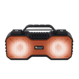 Parlante Nr-2029fm