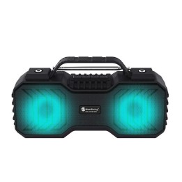 Parlante Nr-2029fm