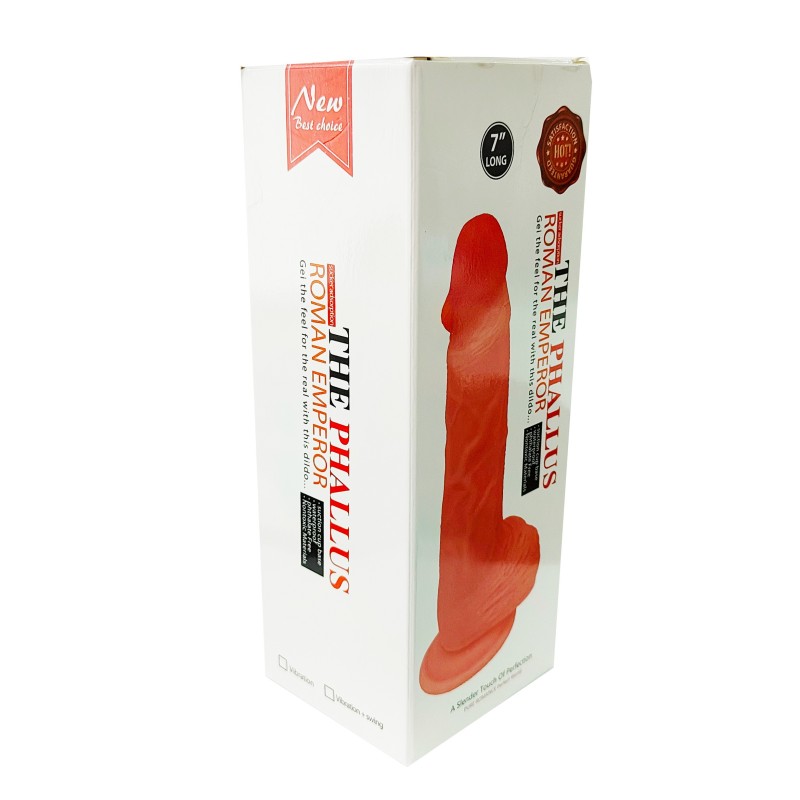 Vibrador 26495-29