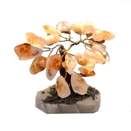 Árbol Citrino