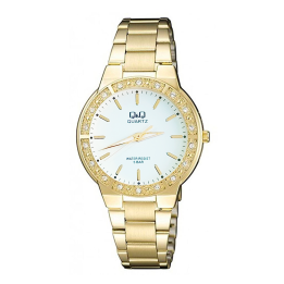 Reloj Q&q Q985j010