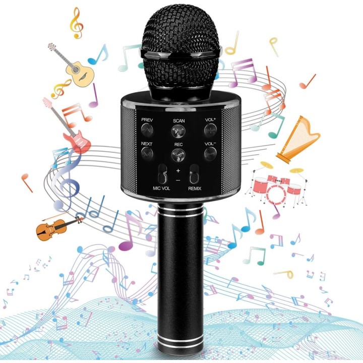 Karaoke Altavoz