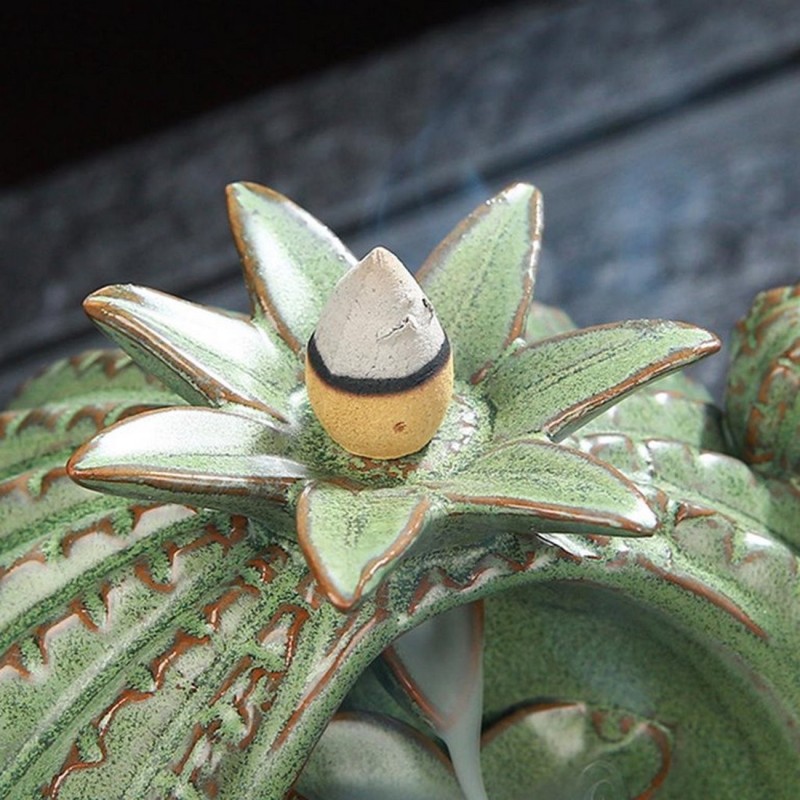 Cactus Incienso 0318