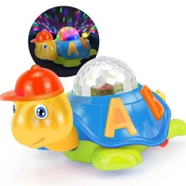 Tortuga Aprendizaje Luces