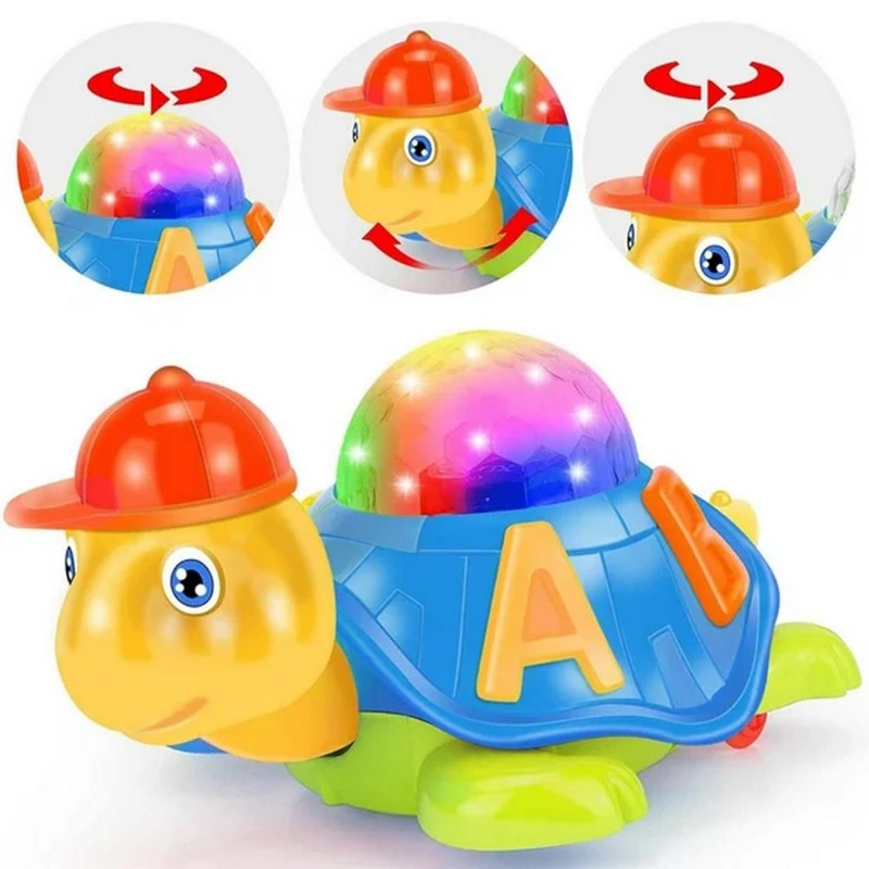 Tortuga Aprendizaje Luces