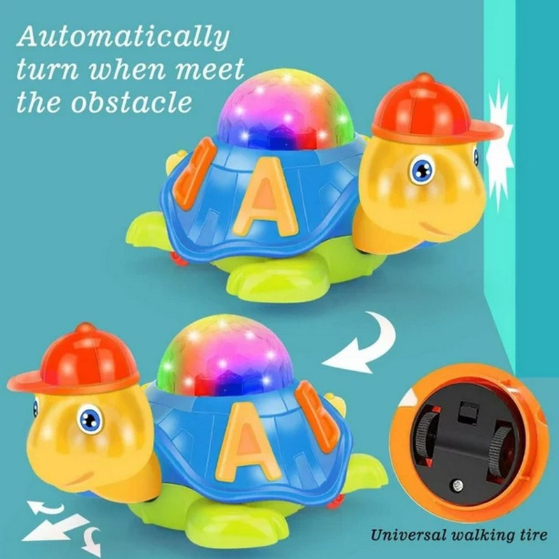 Tortuga Aprendizaje Luces