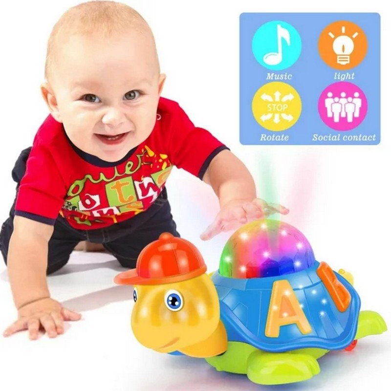 Tortuga Aprendizaje Luces