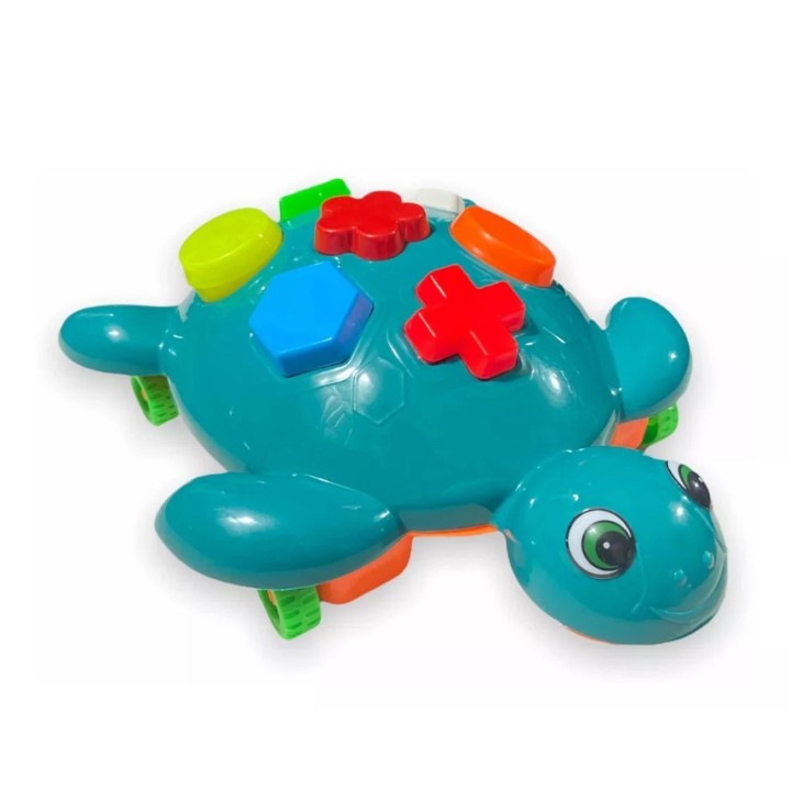 Armatodo Didactica Tortuga