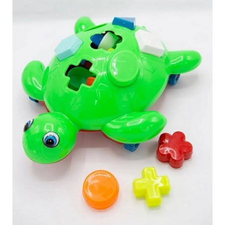 Armatodo Didactica Tortuga