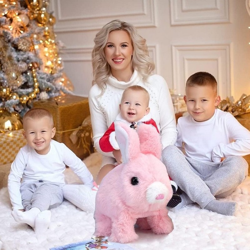 Robot Conejo Mascota