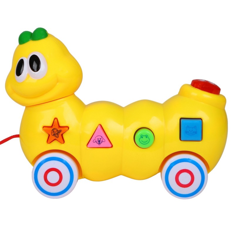 Oruga De Aprendizaje