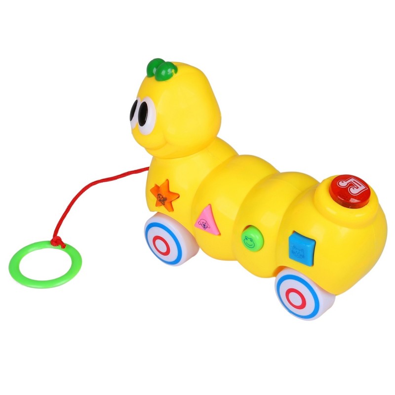 Oruga De Aprendizaje