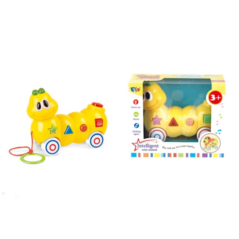 Oruga De Aprendizaje