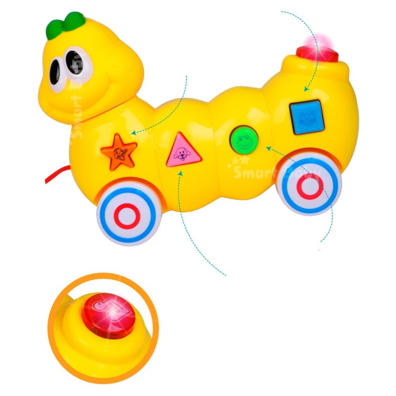 Oruga De Aprendizaje