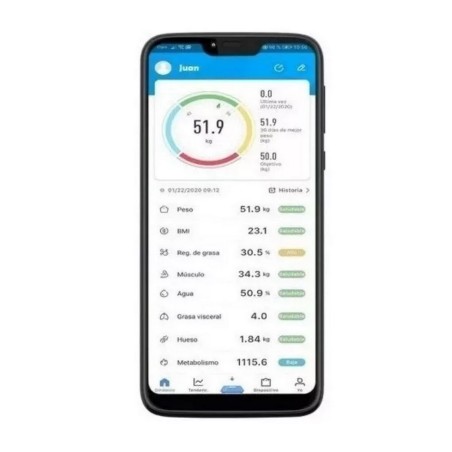 Bascula Bluetooth