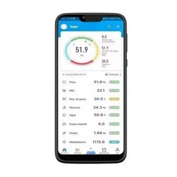 Bascula Bluetooth