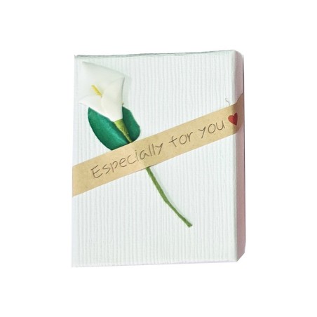 Caja Estuche X6