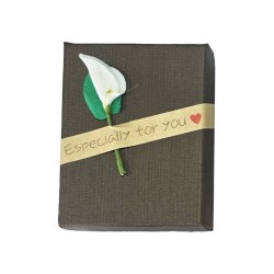 Caja Estuche X6