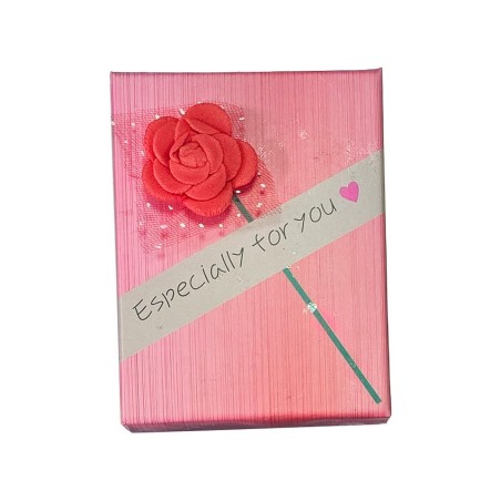Caja Estuche X6
