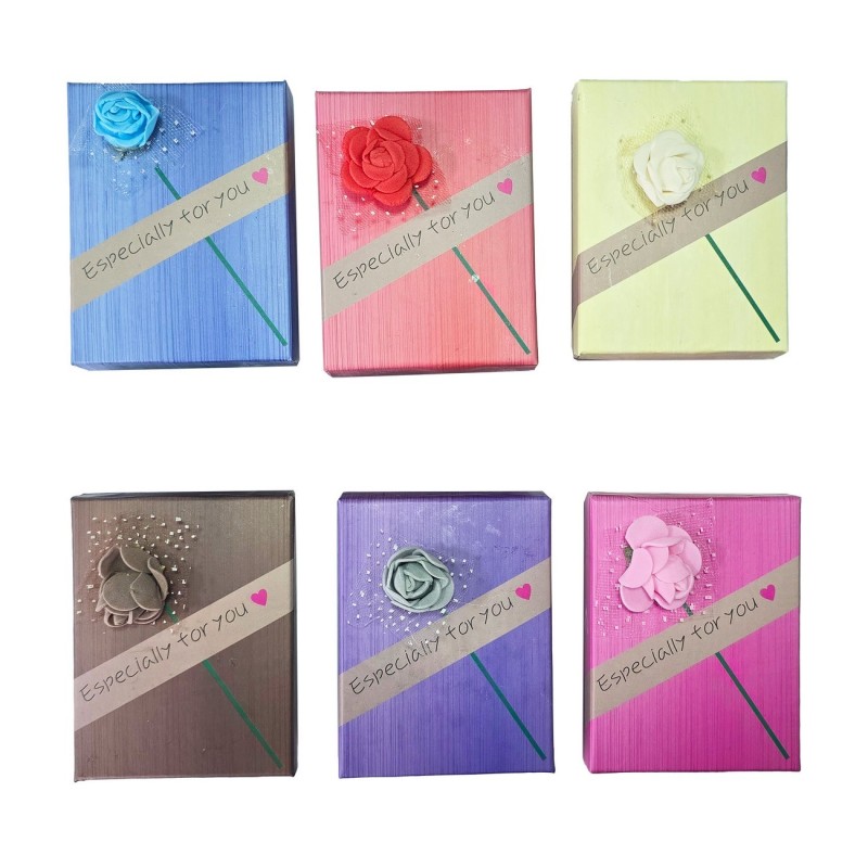 Caja Estuche X12