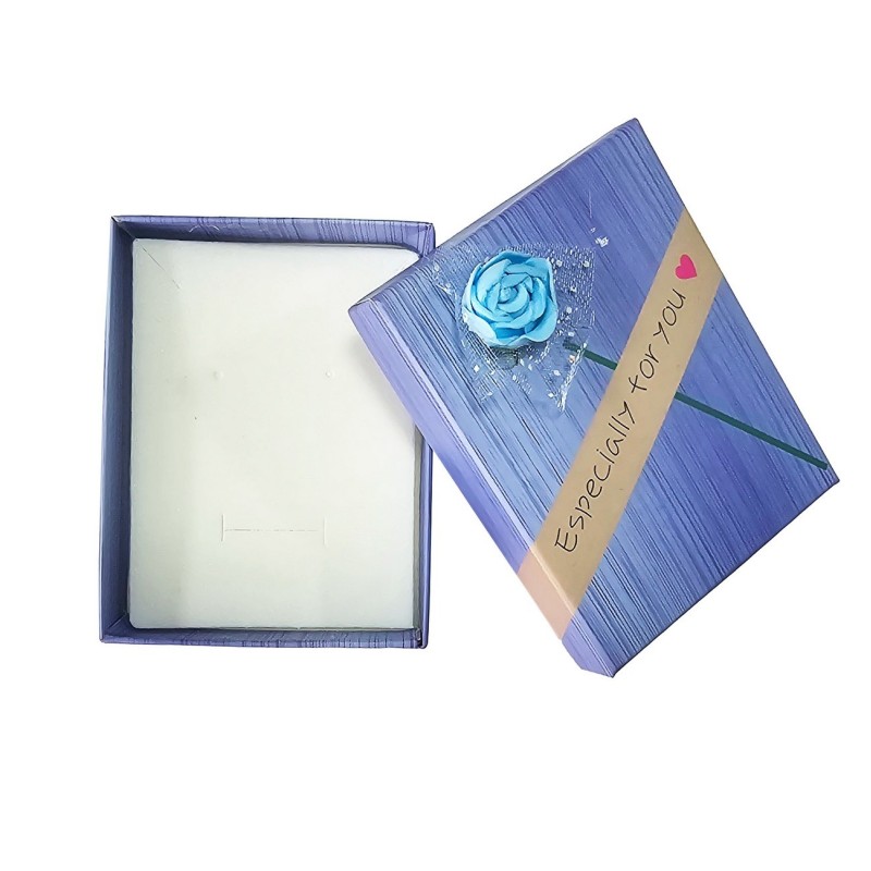 Caja Estuche X12