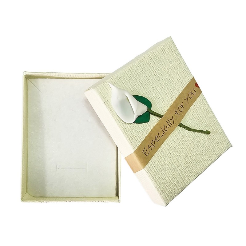 Caja Estuche X12