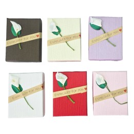 Caja Estuche X12