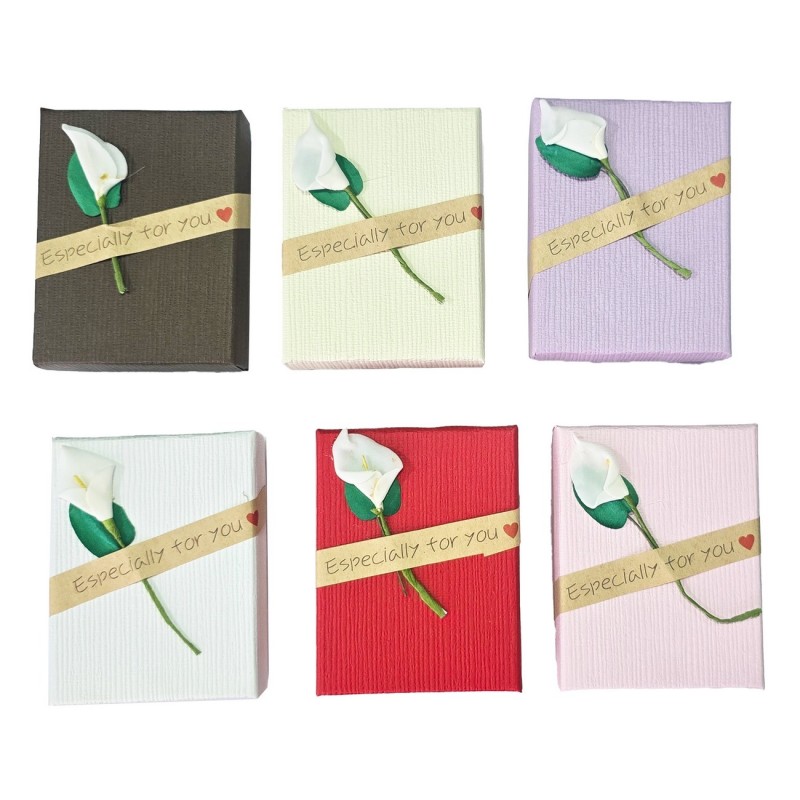 Caja Estuche X12