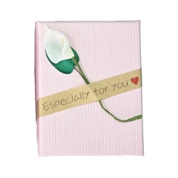 Caja Estuche X12