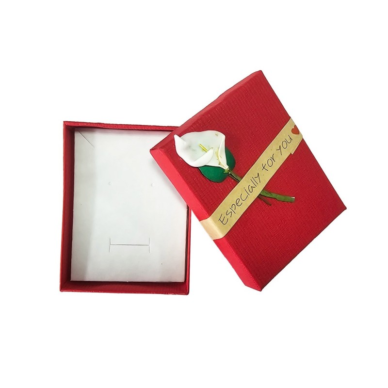 Caja Estuche X12