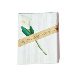 Caja Estuche X12