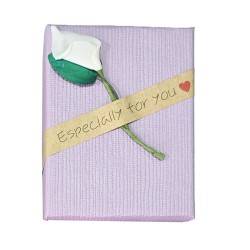 Caja Estuche X12