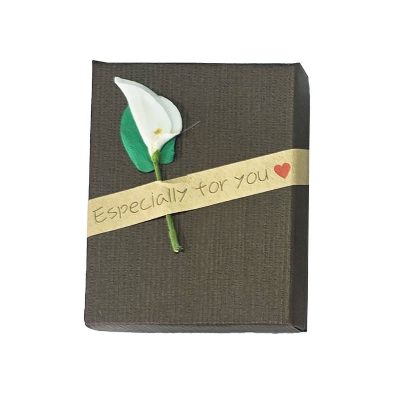 Caja Estuche X12