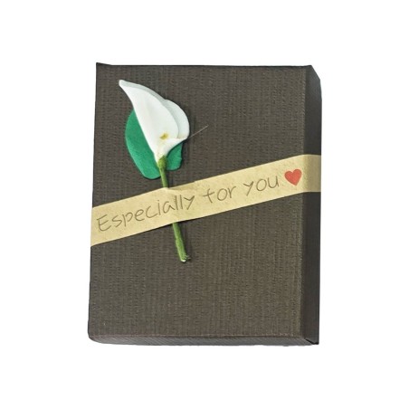Caja Estuche X12