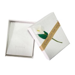 Caja Estuche X12