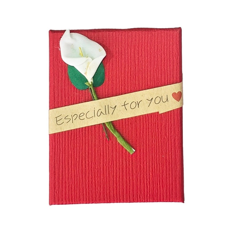 Caja Estuche X12