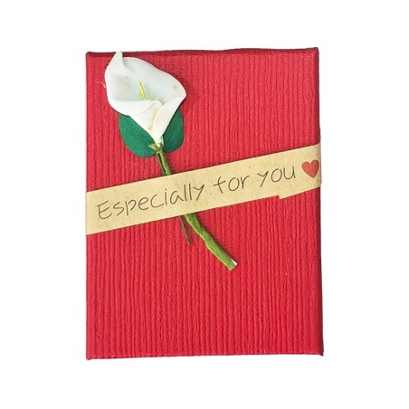 Caja Estuche X12