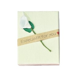 Caja Estuche X12