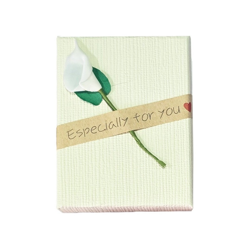 Caja Estuche X12